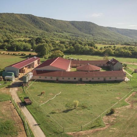 Totvar Lovas Szallashely Kovagotottos Exterior foto