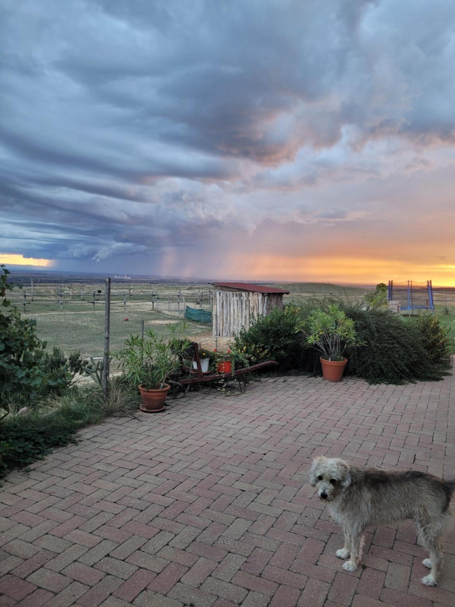 Totvar Lovas Szallashely Kovagotottos Exterior foto