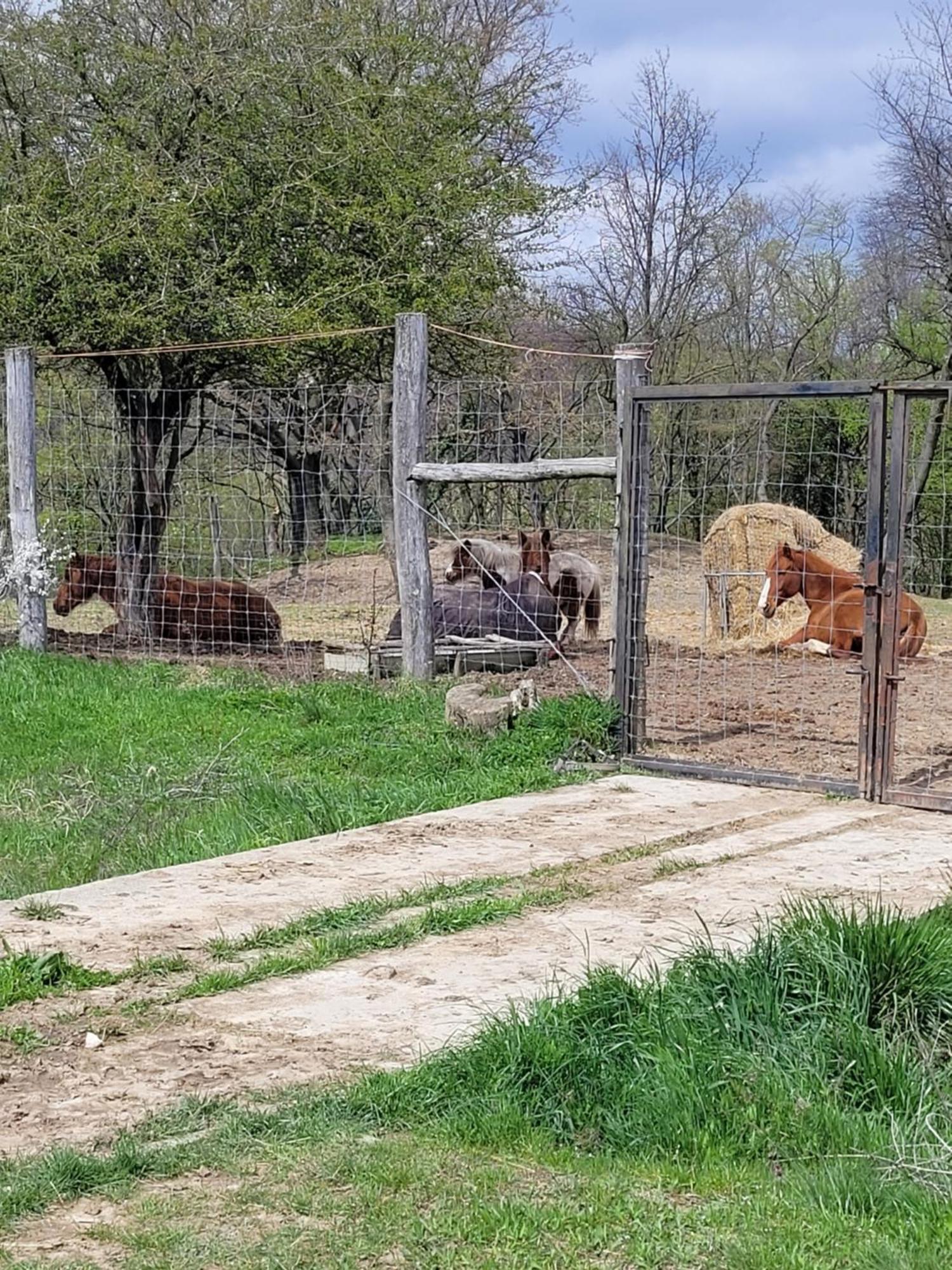 Totvar Lovas Szallashely Kovagotottos Exterior foto