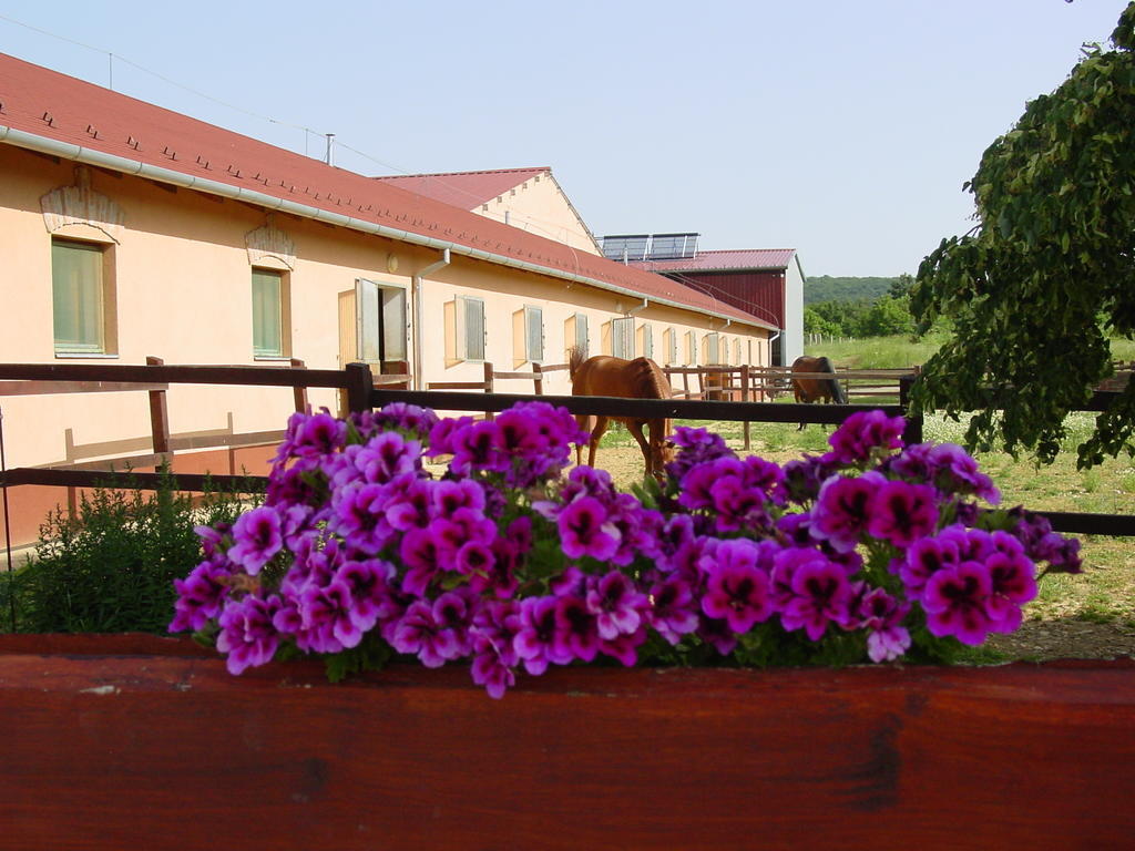 Totvar Lovas Szallashely Kovagotottos Exterior foto