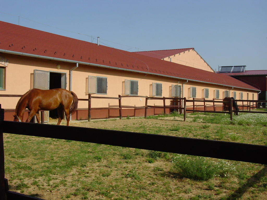 Totvar Lovas Szallashely Kovagotottos Exterior foto